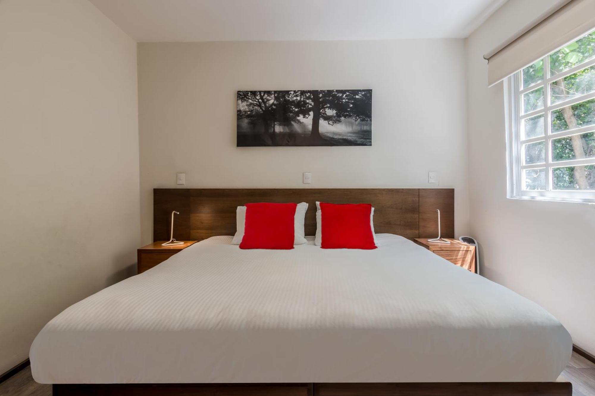 מקסיקו סיטי Om 686 Urban Lofts Narvarte מראה חיצוני תמונה